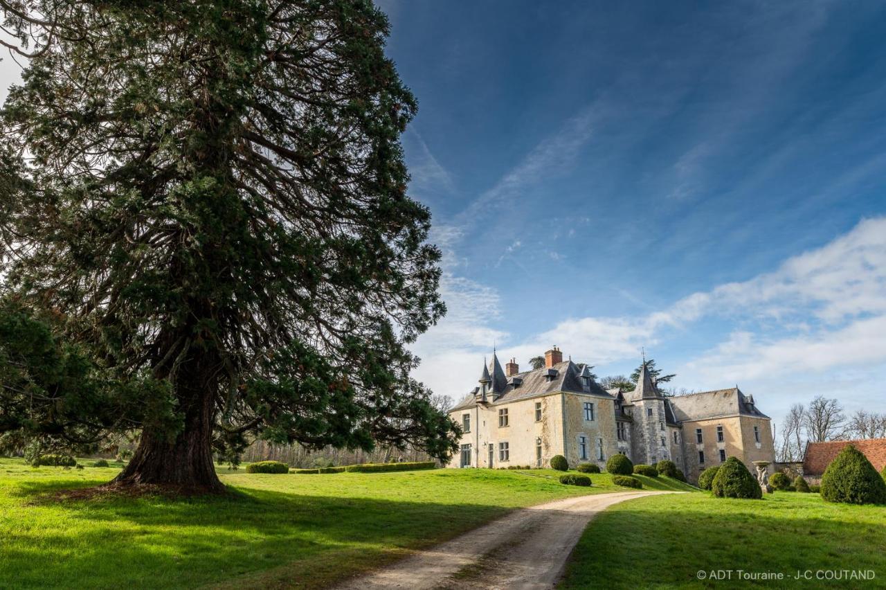 Chateau De ValesneSaché エクステリア 写真